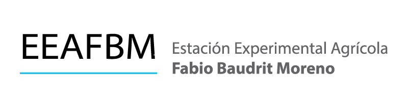 fabio